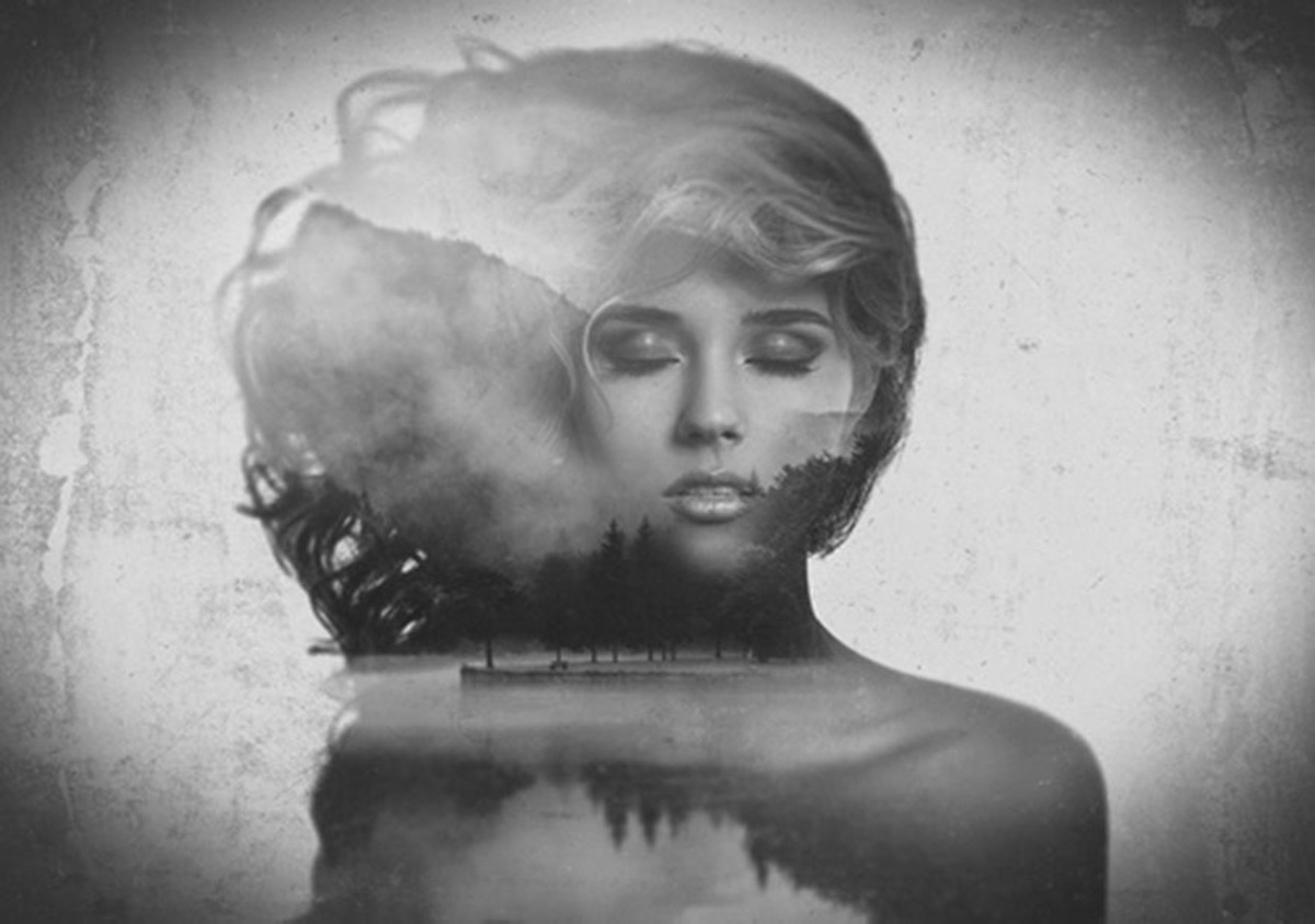 Partner Соло (Solo) 13288V8