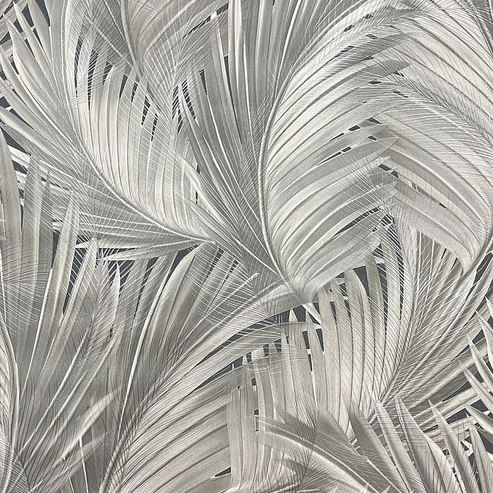 Haoya Эстетичный (Estetico) HK66054