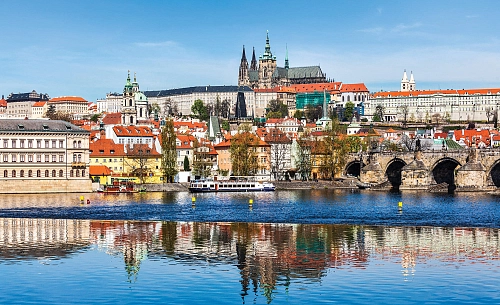 Partner Соло (Solo) 3249P8